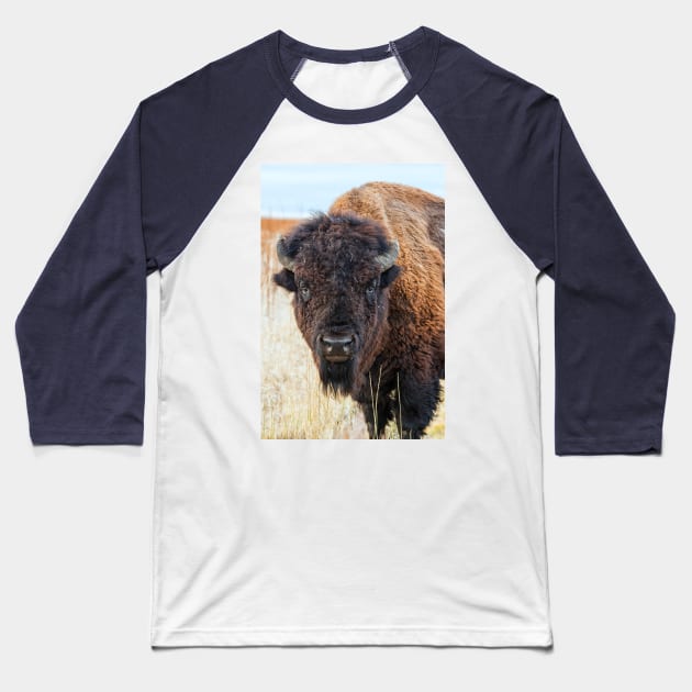 Bison Baseball T-Shirt by StacyWhite